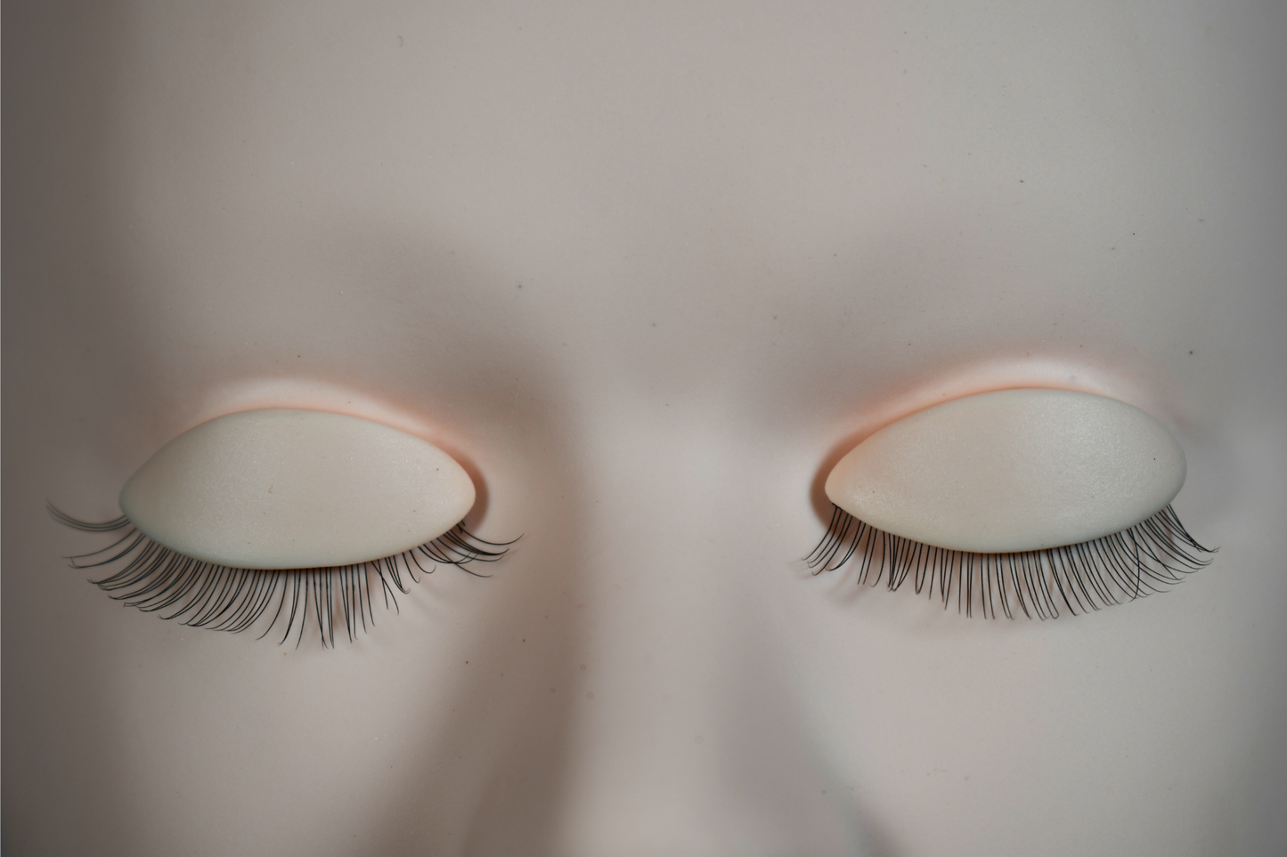 Eyelash Extensions Mannequin Head