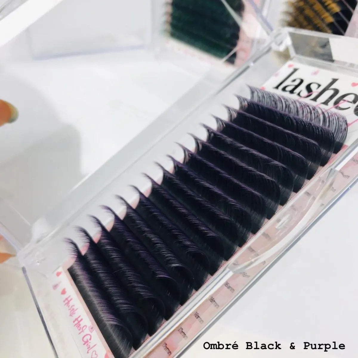 Ombre Lashes